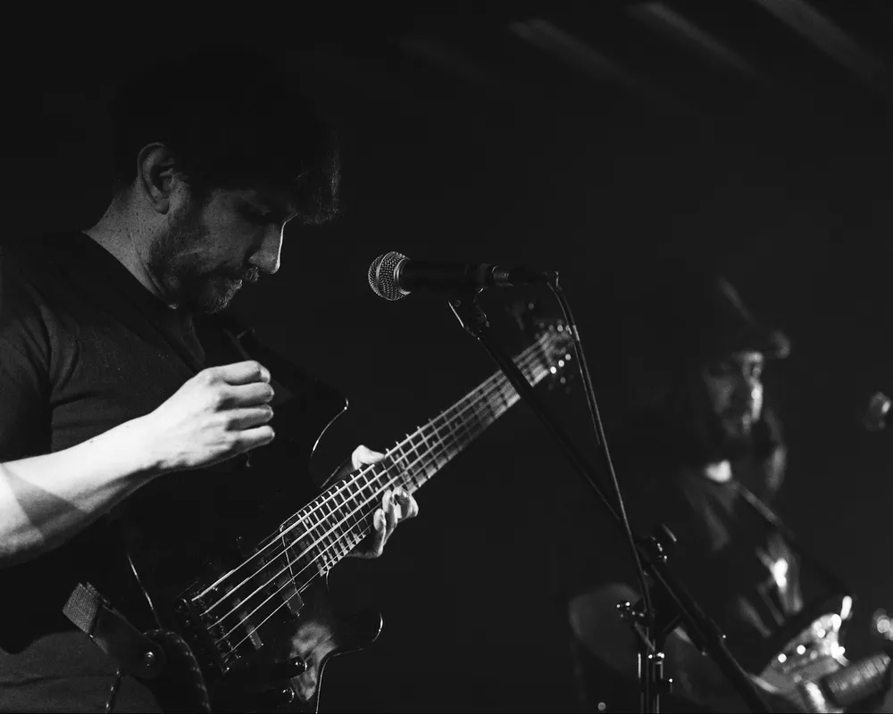 Pato en el bajo, en blanco y negro